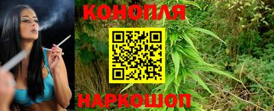 сатива Славянск-на-Кубани
