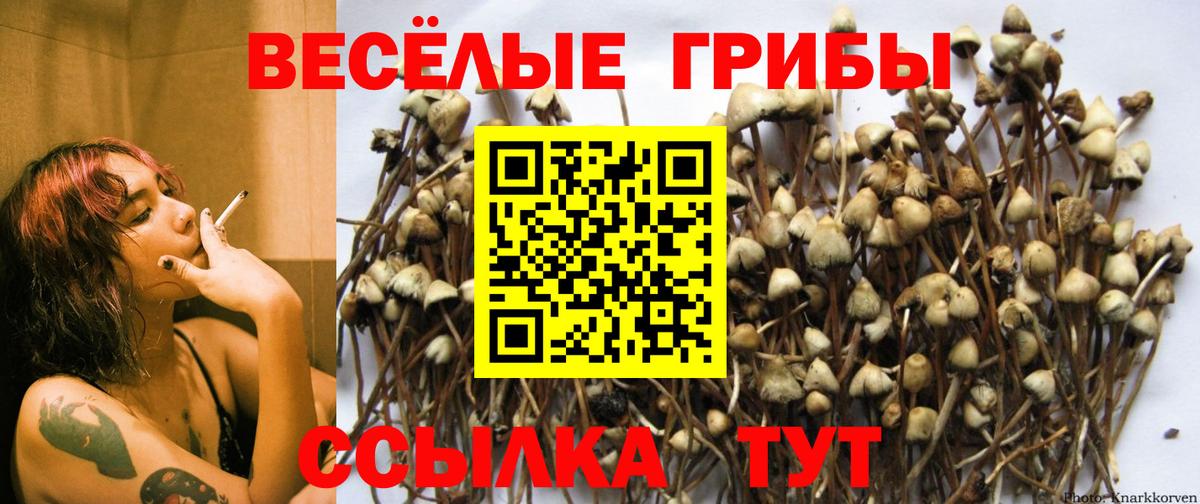 Печора  Галлюциногенные грибы мицелий  Псилоцибиновые грибы MAGIC MUSHROOMS  Вход с VPN 